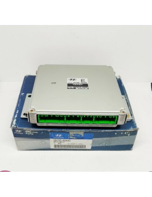 HYUNDAI TERRACAN 2.5 - 3910042440 - Engine ECU - NOS