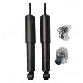 RENAULT 4 / R4 / R5 / R6 / 4L - Pair of Front shock absorbers - Oil pressure