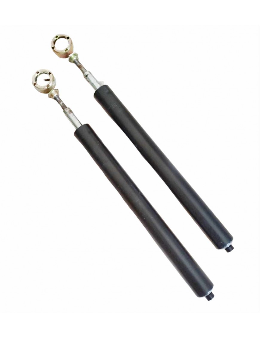 PEUGEOT 504 / 505 / 604 - 5202.90 - Pair of front shock absorbers