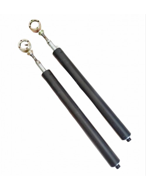 PEUGEOT 504 / 505 / 604 - 5202.90 - Pair of front shock absorbers