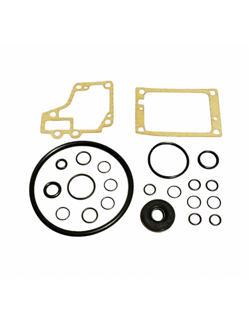PEUGEOT 504 injection / TI - Gaskets set for Kugelfischer KF5 pump