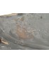 BMW e23 - Replacement metal Rear spoiler - NOS