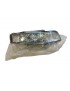 HONDA ACCORD CB5 - Optique / Phare AVG - NEUF